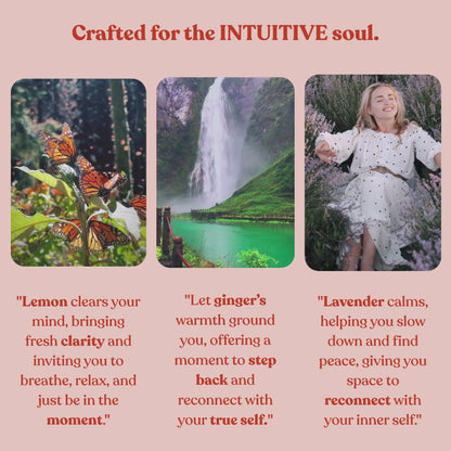 Intuition Blend